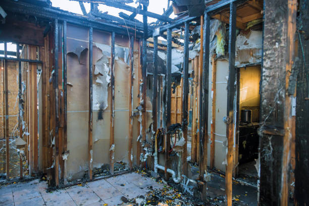 Professional Smoke Damage Removal technician working in Flower Mound, TX